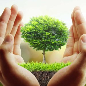 Conférence Romain Marcoux Comment nos actions individuelles peuvent-elles contribuer à la transition écologique