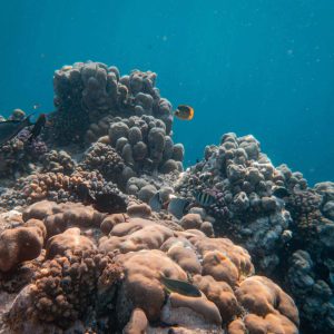 Conférence Les fonds marins ont une histoire Romain Grancher