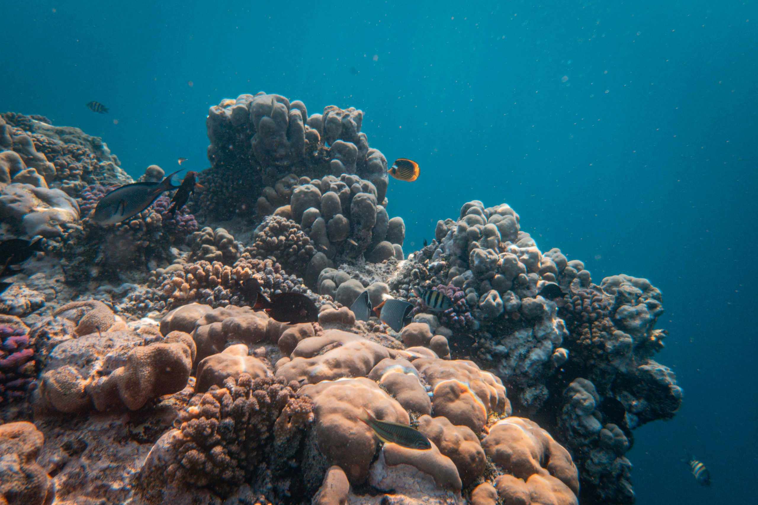 Conférence Les fonds marins ont une histoire Romain Grancher